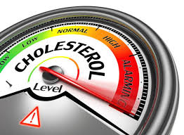 Harmful effects of high cholesterol on different body systems